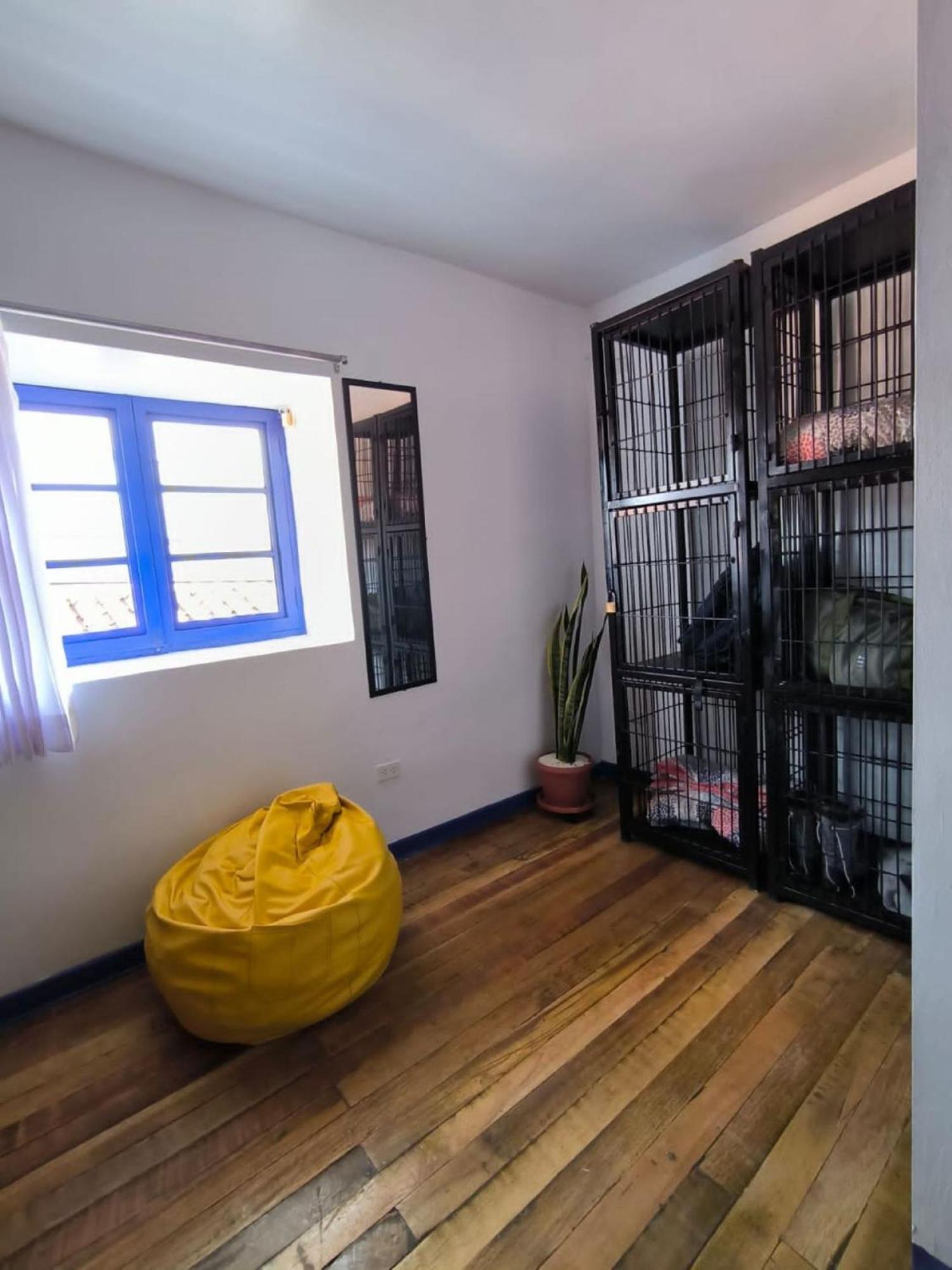 Haku Hostel Cusco Luaran gambar